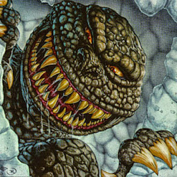 Roman Korcek profile image