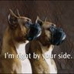 Jacob Coleman profile image