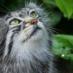 Ustym Demchyshyn profile image