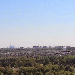 Maxwell McInnis profile image