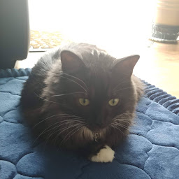 Jevon Hilton profile image