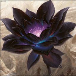 Benjamin Johnson profile image