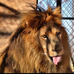 Muhammad Erwin Hadi. P profile image