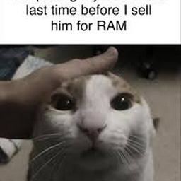 Lucia  profile image