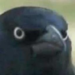 Pedro Sousa profile image