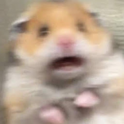 artemoose  profile image