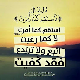 amksa abdelghani profile image