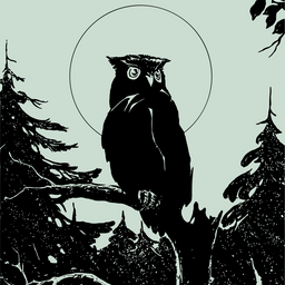 Cameron McCreery profile image