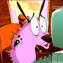 Francisco  profile image