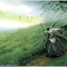 Miguel V-DF profile image