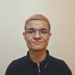 Lucas's Portfolio | Boot.dev
