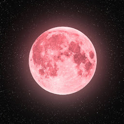 Jacklyn Yeh profile image
