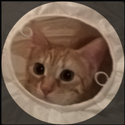 Henrik Sperling profile image