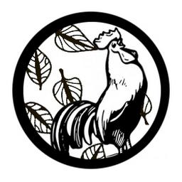 Forrest Cox profile image