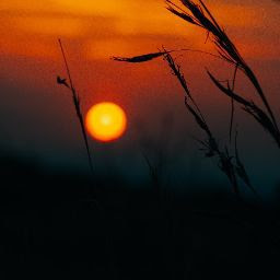 Collins Kiplangat profile image