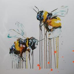 Katie  profile image