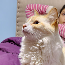 Lucas RC profile image