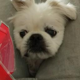 Eric Orzechowski profile image