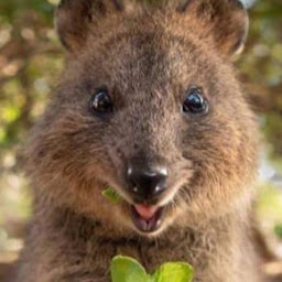 Jonathan Stephens profile image