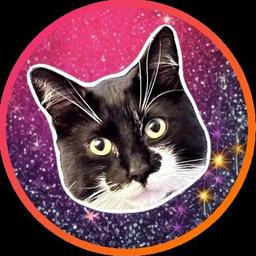 Vlad Mocanu profile image