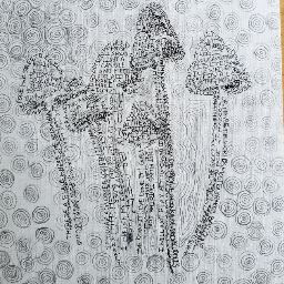 Seen Under Cygnus profile image