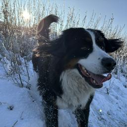 Kevin Wochnik profile image