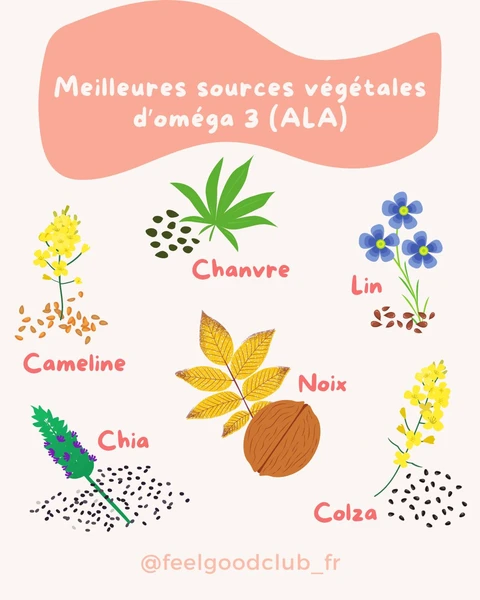 Couverture de Les 6 meilleures sources végétales d'oméga 3