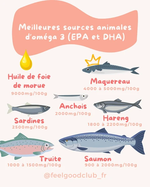 Couverture de Les 25 meilleures sources animales d'oméga 3