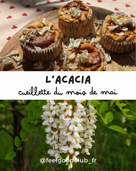 Couverture de Fleurs d'Acacia en Cuisine