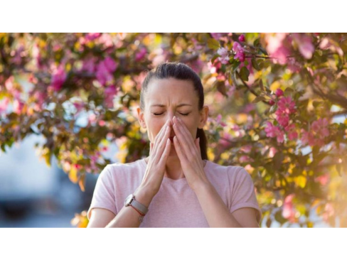 Couverture de Rhinites allergiques et naturopathie : une approche naturelle et globale