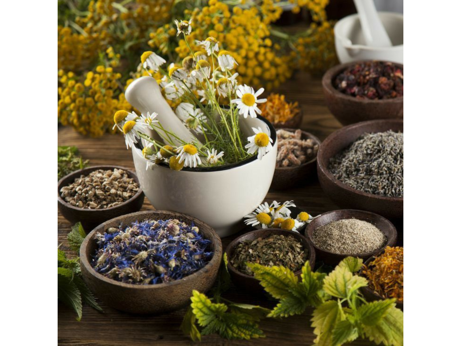 Couverture de Naturopathie Hyères : dis adieu au stress, retrouve ton énergie