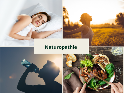 Couverture de La Naturopathie
