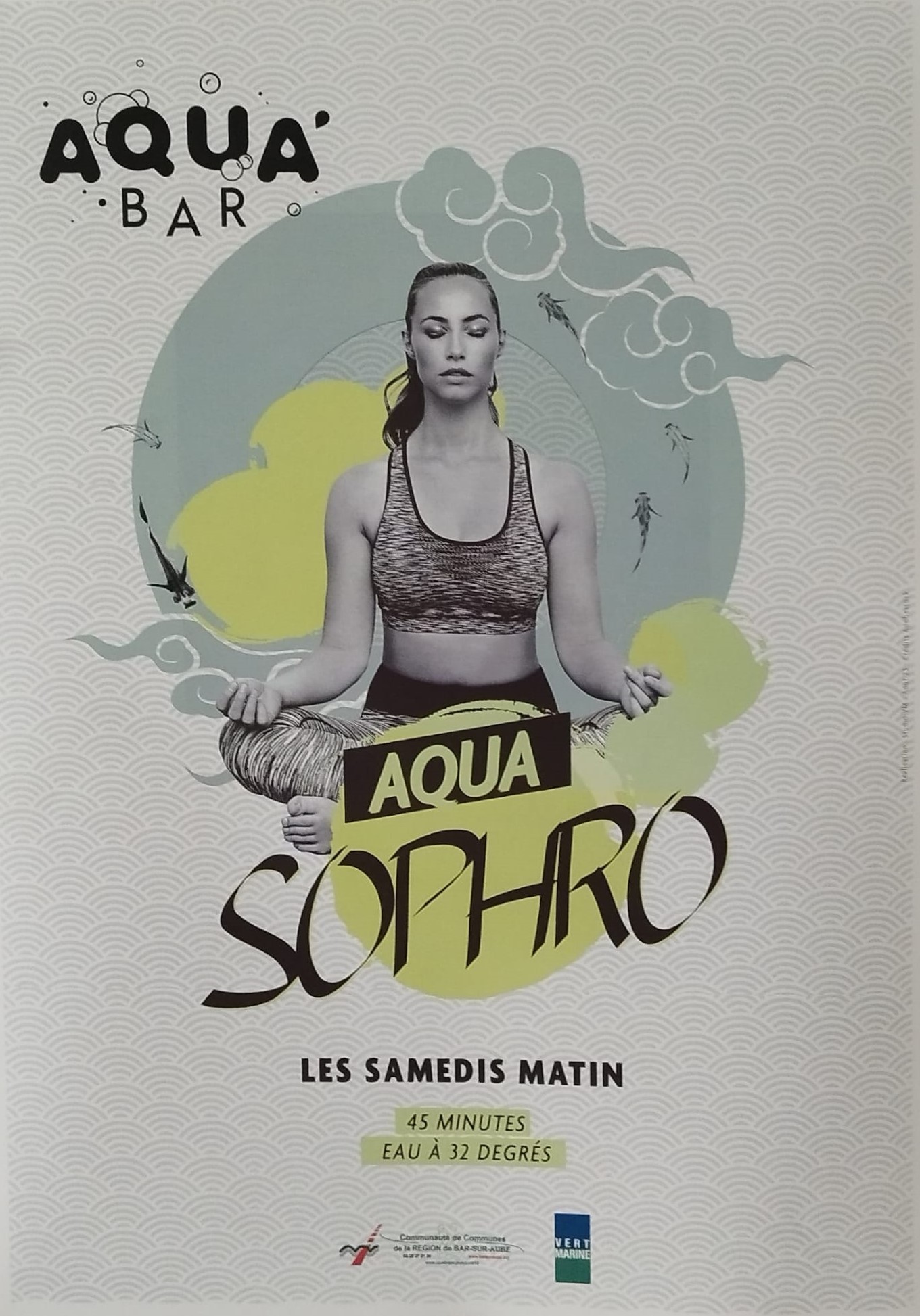 Couverture de AQUA SOPHRO à la piscine de Bar Sur Aube