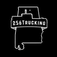 256