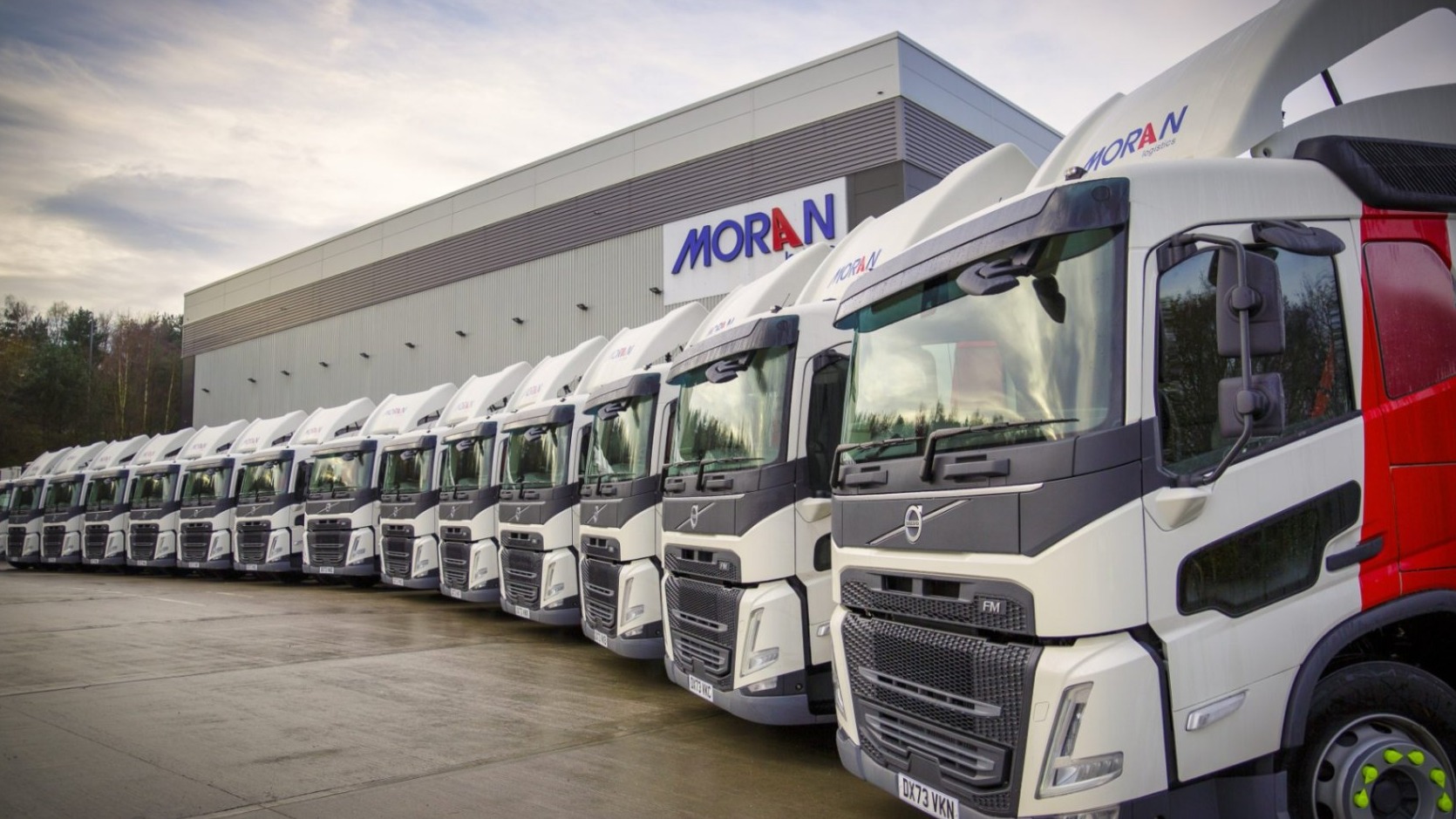 Moran Logistics