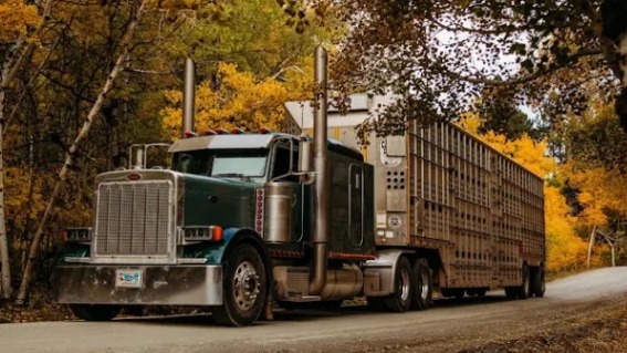 Blackburn Cattle Co Inc