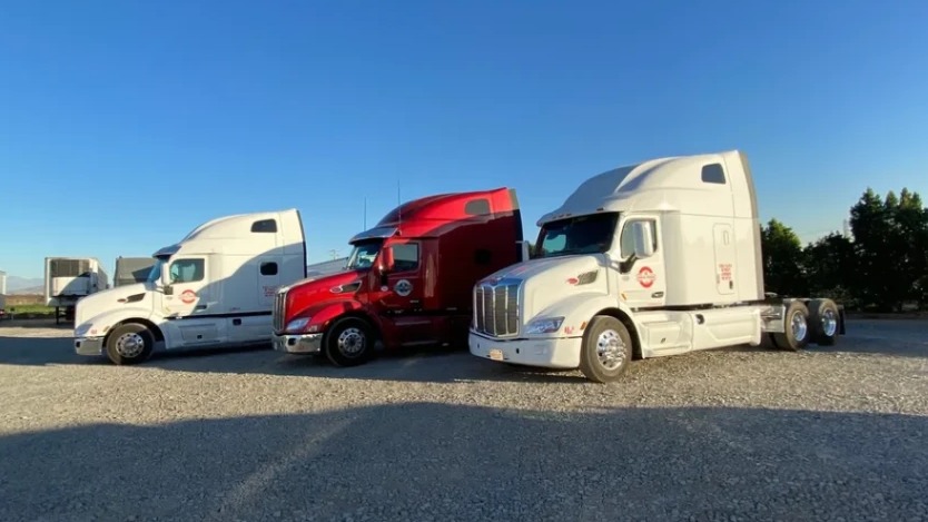 Chahal Freight Line, Inc.