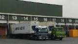 Vifel Ice Plant & Cold Storage, Inc.