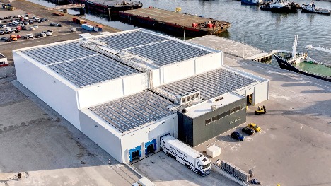 Sealane Coldstorage & Terminals