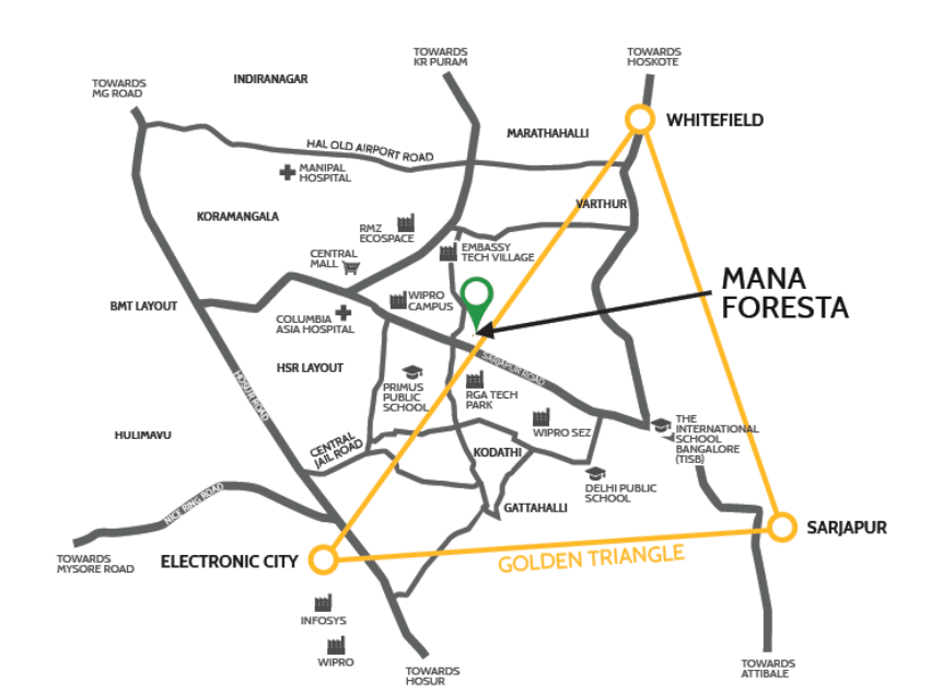 Mana Foresta — photo 21