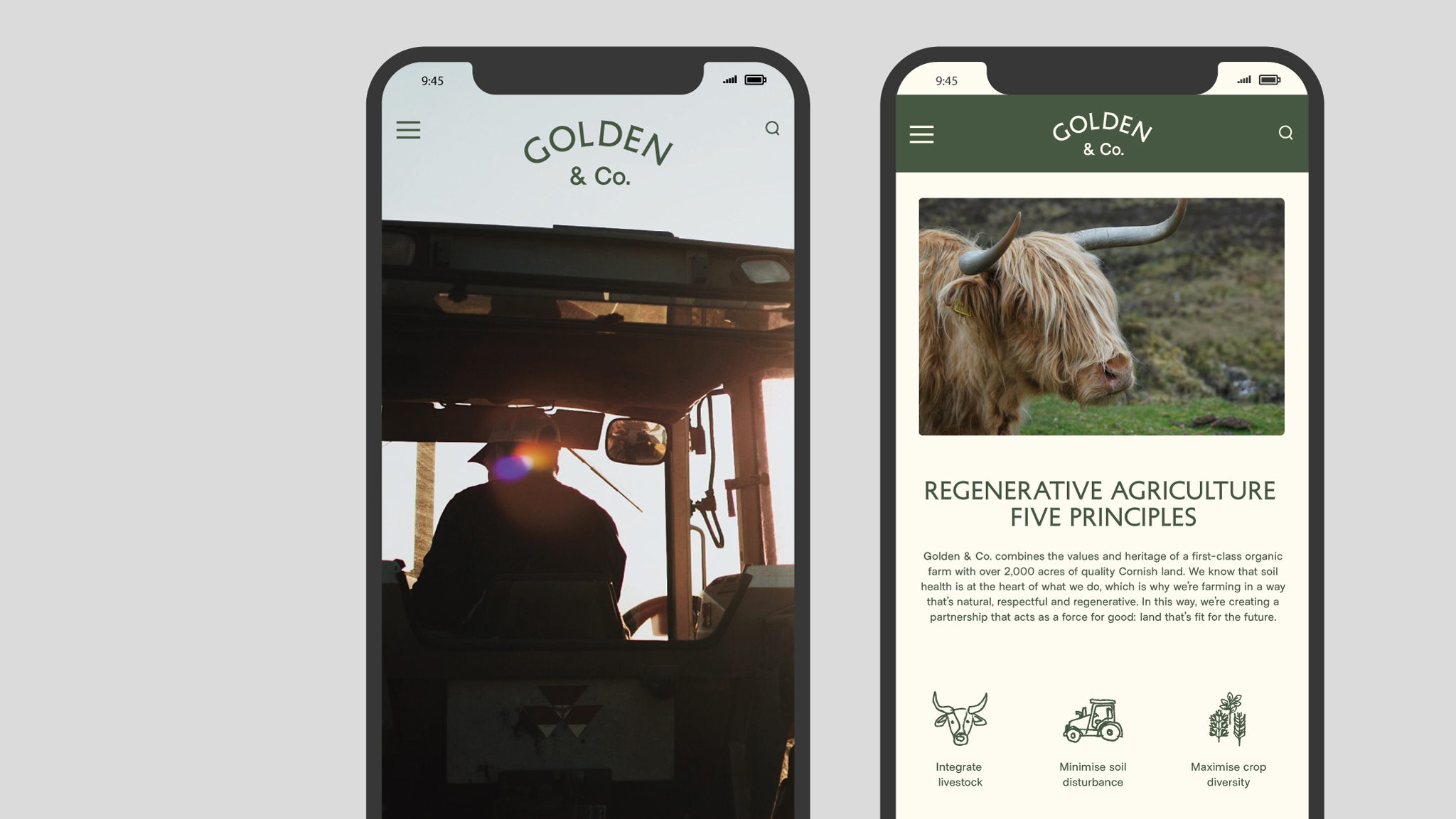 Golden co brand guidelines 5