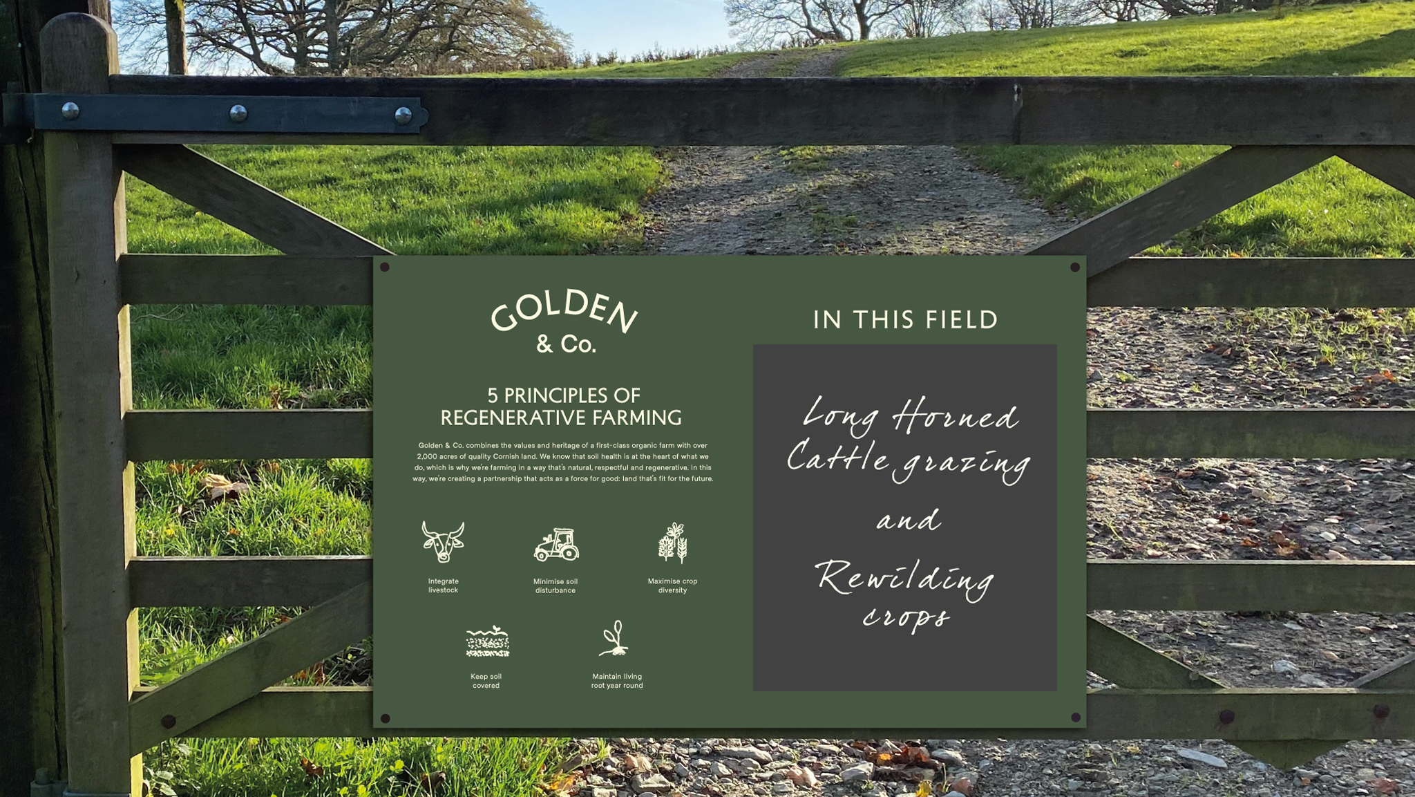 Golden co brand guidelines 6