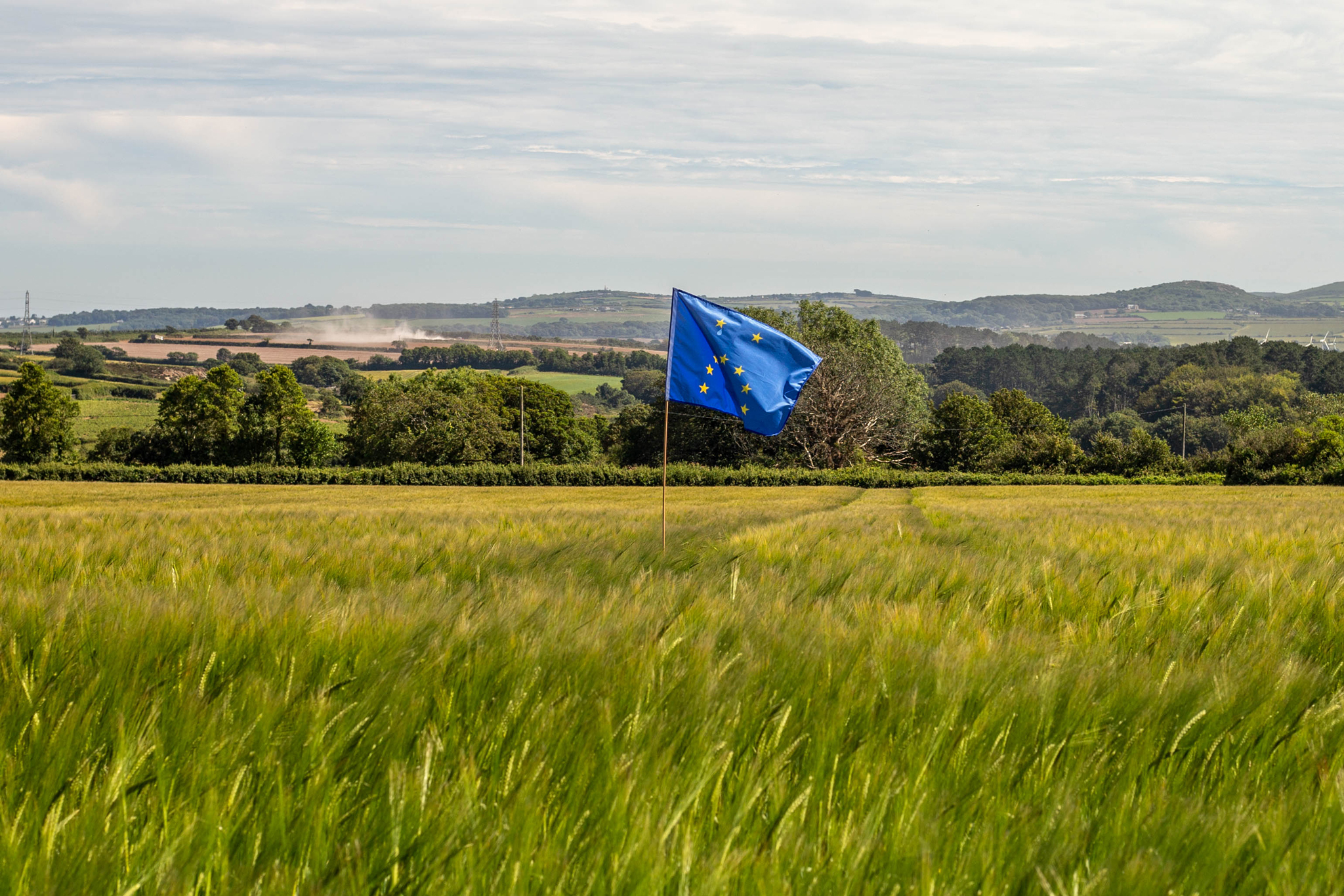 Unstable flag field