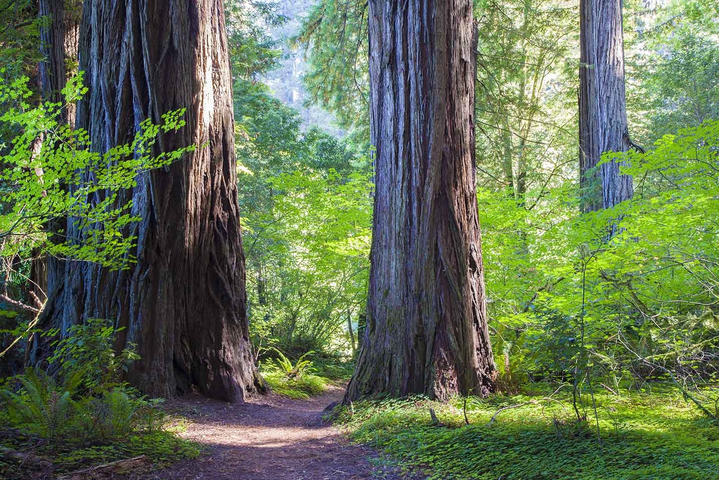 hiking in big sur