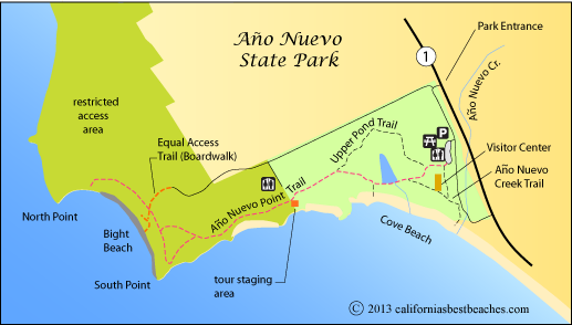 picture of ano nuevo park