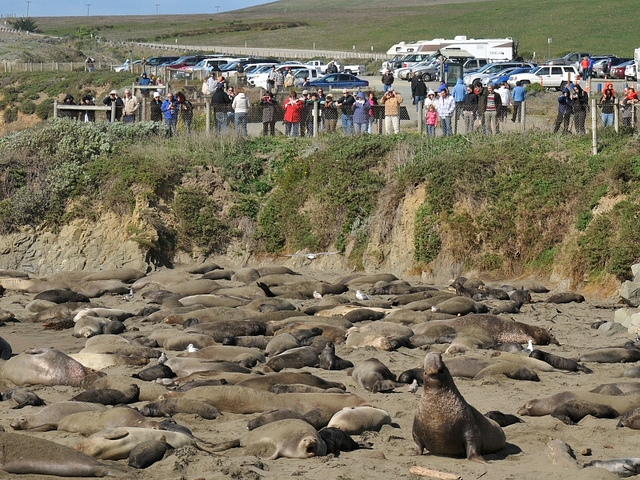 things to do in san simeon