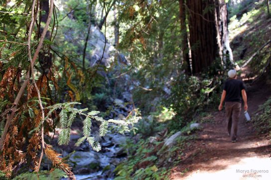 hiking in big sur