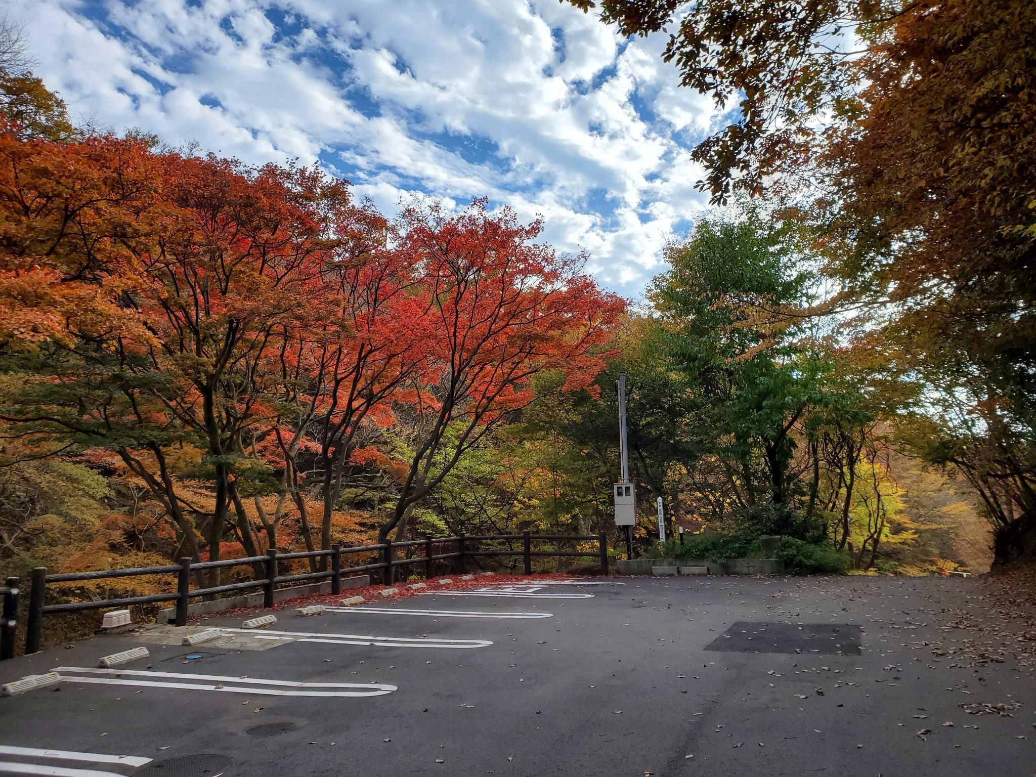 秋の赤川荘