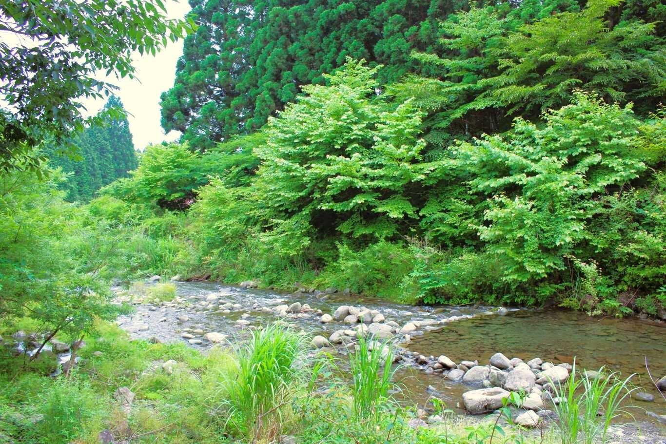 川辺のキャンプサイトもあります。