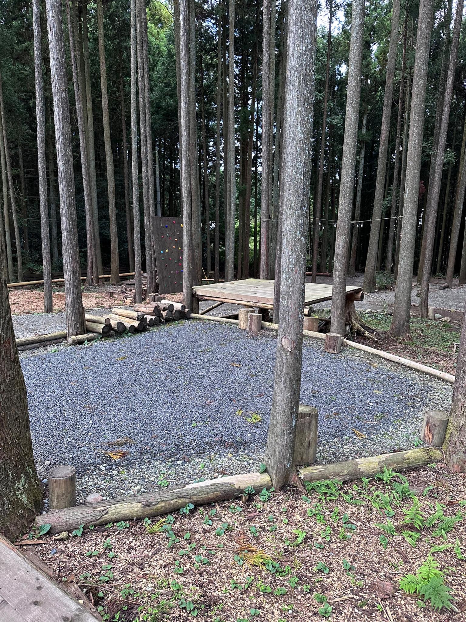 林間サイト　日中